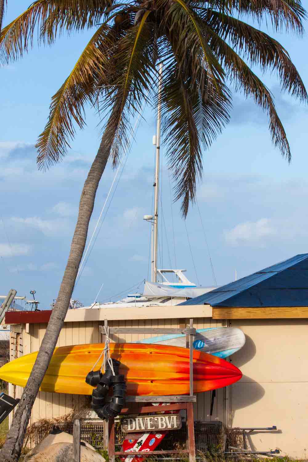 Surf BVI palm tree red white orange surfboards sailboat