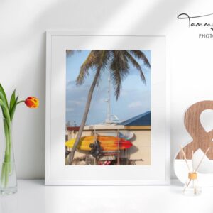 mockup-DIVE BVI Palm Tree Orange white red surfboards sailboat